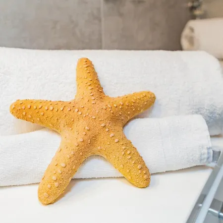 Star House *